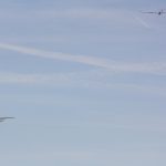 FGR_04_2018 (41)